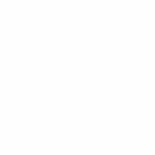 Painter Logo Animation