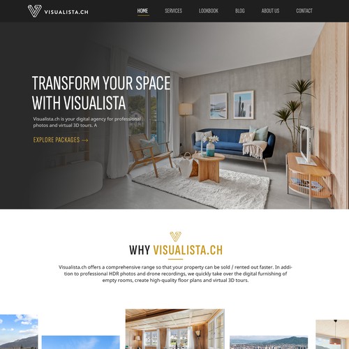 Visualista website design