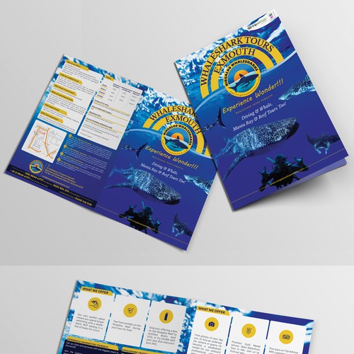 Ningaloo Whaleshark Swim brochure