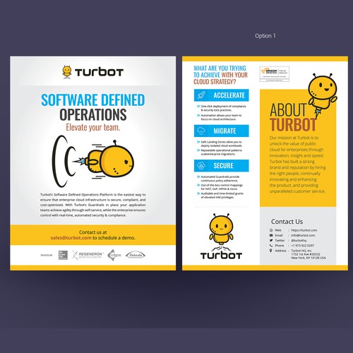 Powerful Handout Design Concept for Software Team