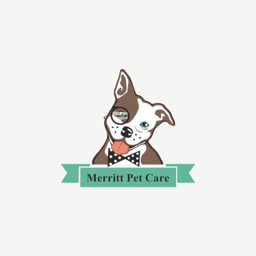Dog walking and pet sitting business 