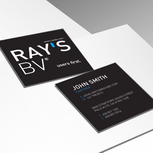 New logo for my company Ray's Bv