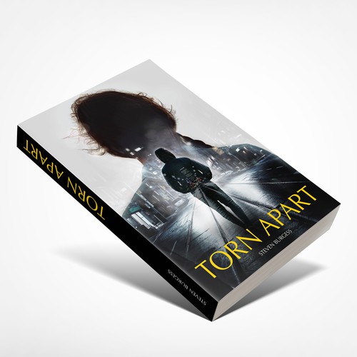 Torn Apart book cover