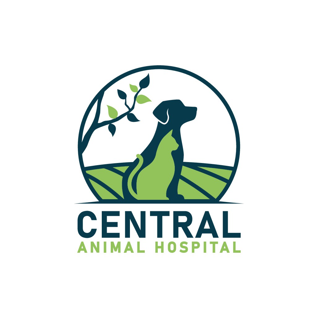 Animal hospital in California looking for eye-catching logo