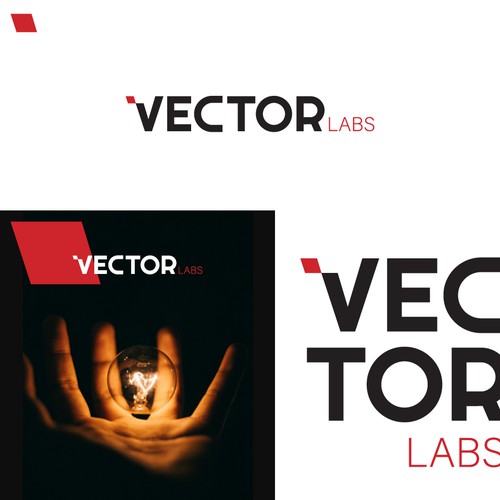Logo Design Proposal for  VECTOR LABS