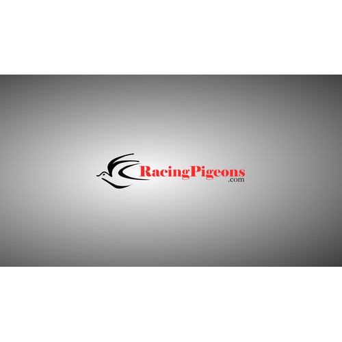 Logo concept for Racing Pigeons