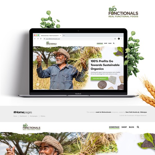 New Rice Bites Snack Product Website Design