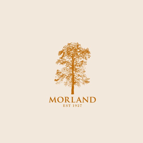 Hand illustrated logo