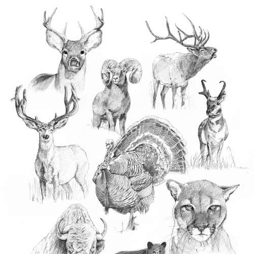 Big Ten Animals