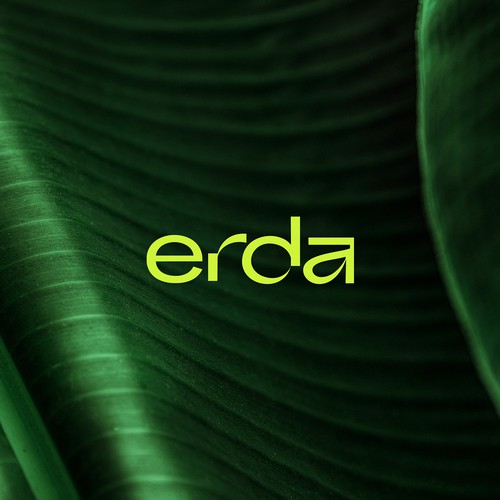Erda app logo