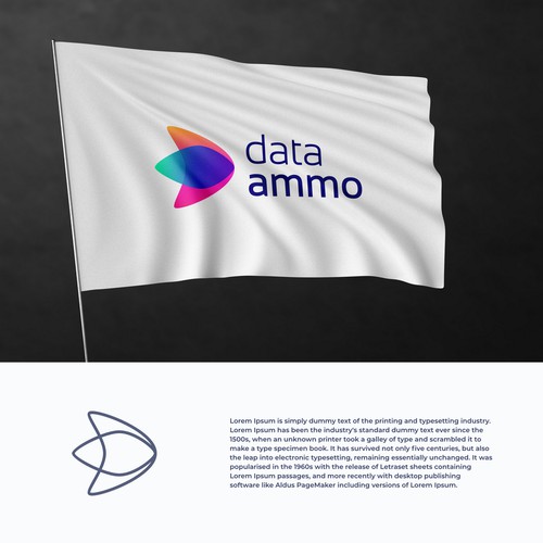 data ammo
