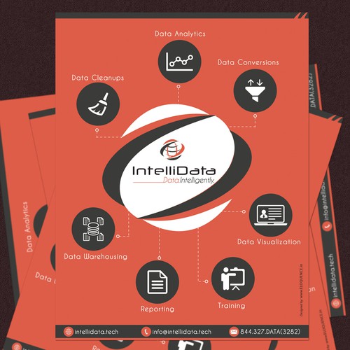 IntelliData Flyer