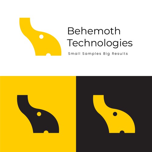 Behemoth Technologies