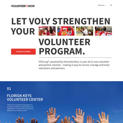 网站重新设计forVolunteerNow的角色