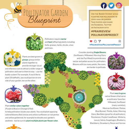 Pollinator Garden Blueprint
