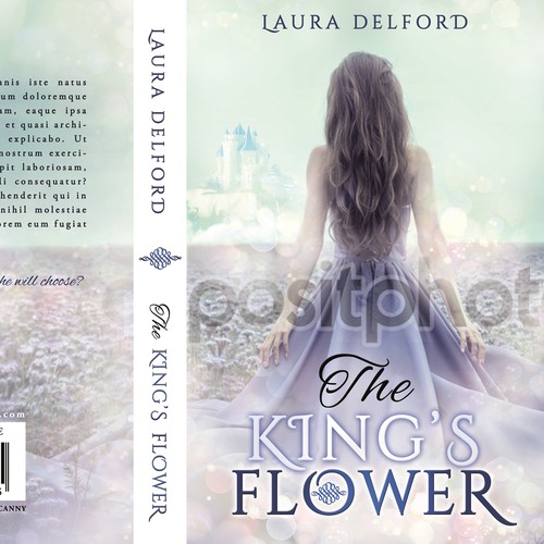Book Cover for Laura Delford