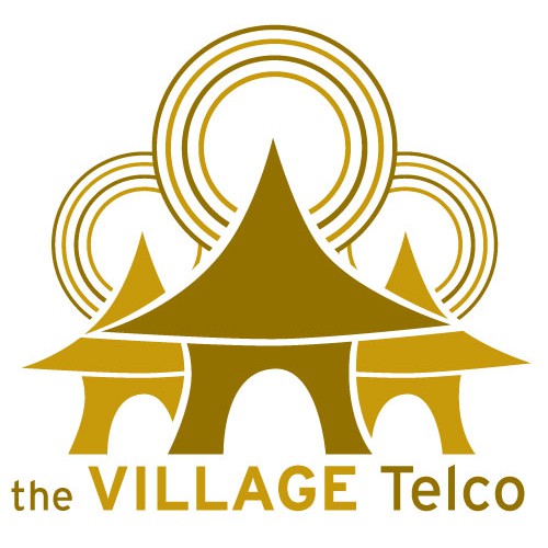 Village Telco Logo concept