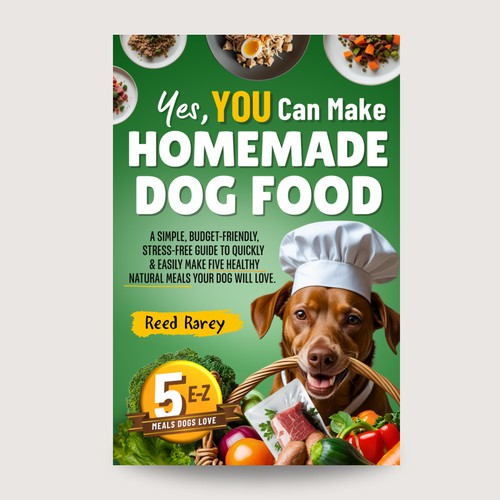 Ebook cover concept finalist