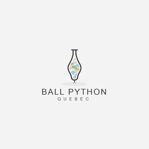 Ball Python