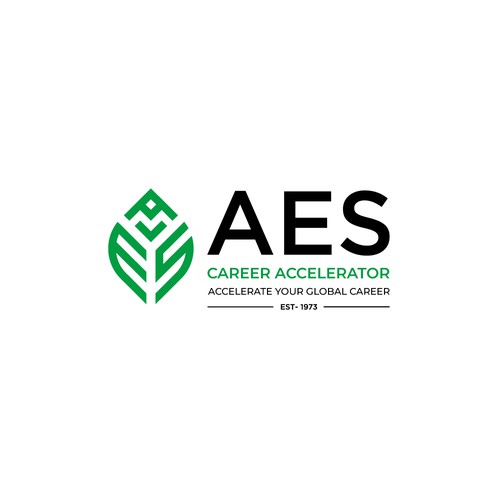 AES career accelerator