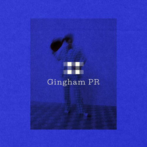 Logo Concept for Gingham PR