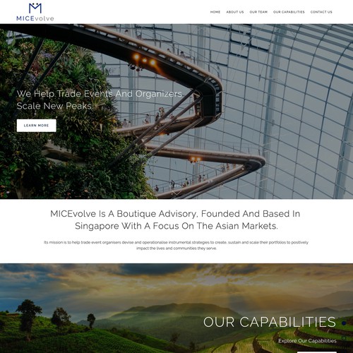 Professional Design for New Advisory Business