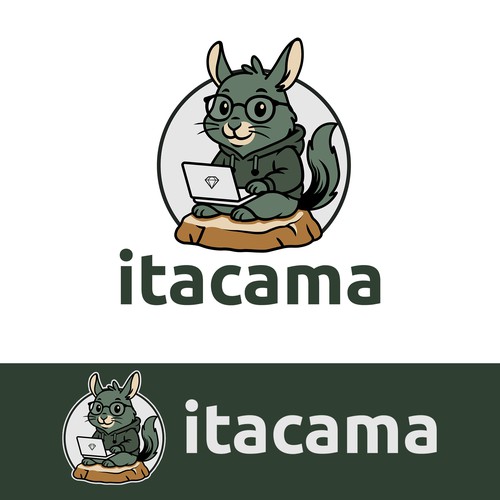 Finalist Design for Cartoon Mascot Logo Contest