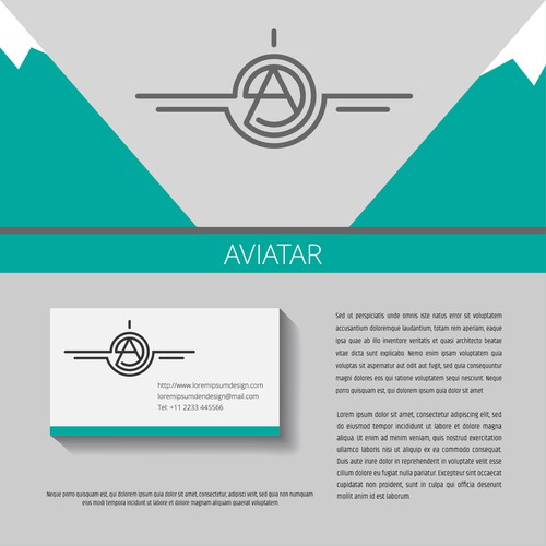 Logo design for avia company