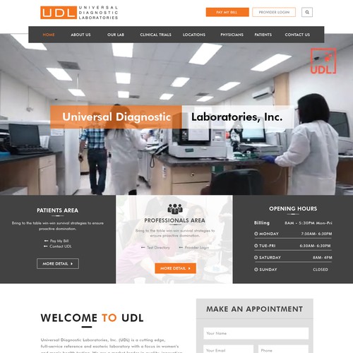 Company website design