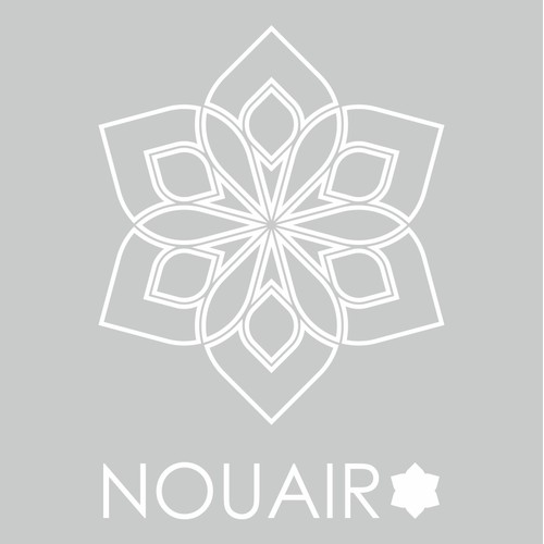 Nouair Logo