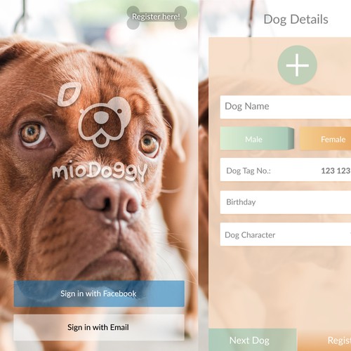 miodoggy app design