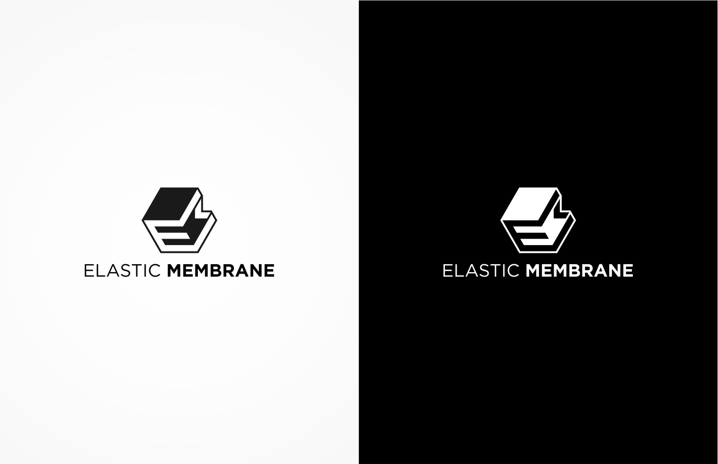 Create a modern geometric techno-style logo for Elastic Membrane