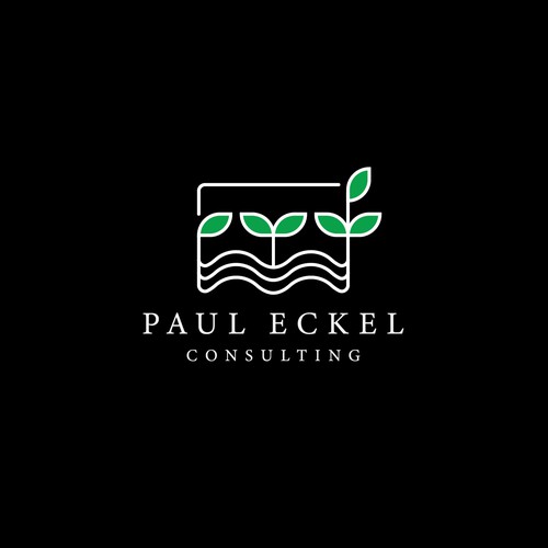 Clean Logo Design for Paul Eckel Consulting