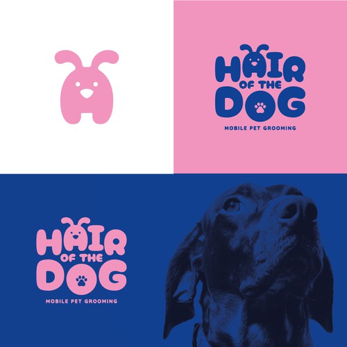 Logo design proposal for Hair of the Dog