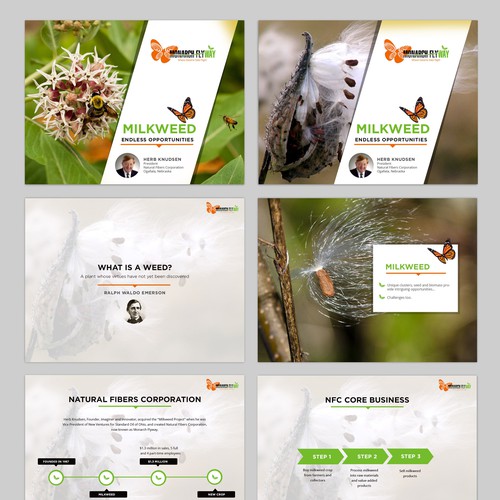 Powerpoint presentation design for Protect Monarch Habitat by Creating Useful Products from Milkweed