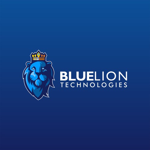  BLUELION TECHNOLOGIES