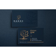 Reviewed design