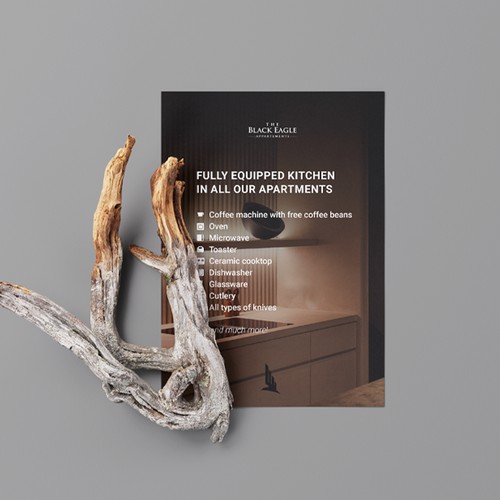 Luxury Apartment Flyer