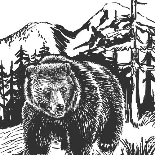 B&W Book illustration