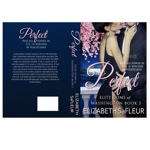 Winner for Sexy Romance Novel Cover