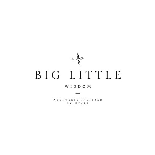 Proposal for Big Little Wisdom