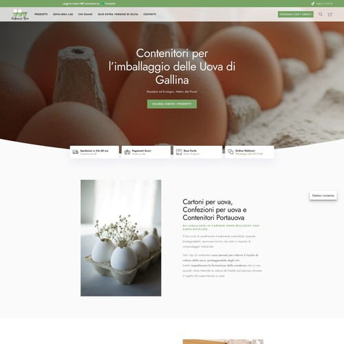 Website design fo CartoniUova