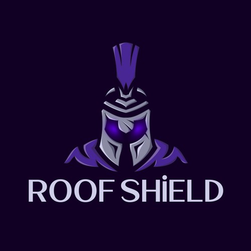 ROOF SHIELD