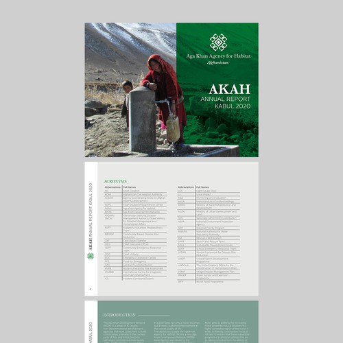 Annual Report Kabul 2020