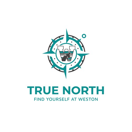 True North