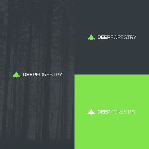 Logo & Brand Identity