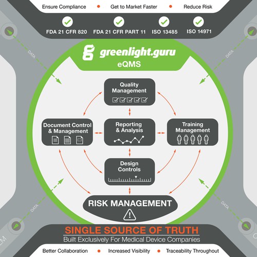 Infographic for Software Startup.