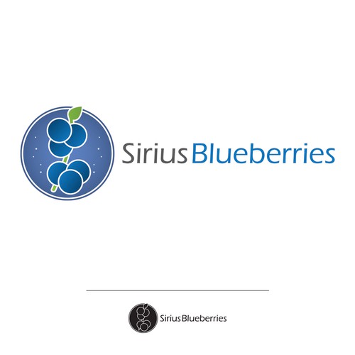 Create logo for a Maine Blueberry company