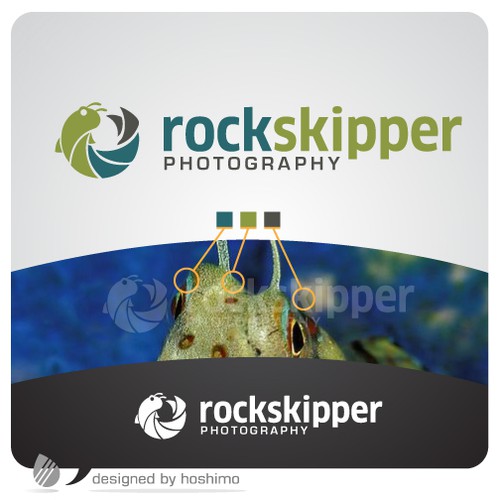 Logo for sports, nature, travel, photography company