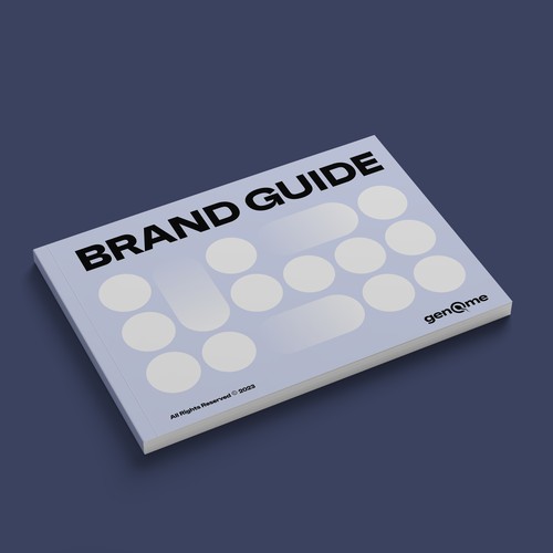 Brand Guide for Drugs Company